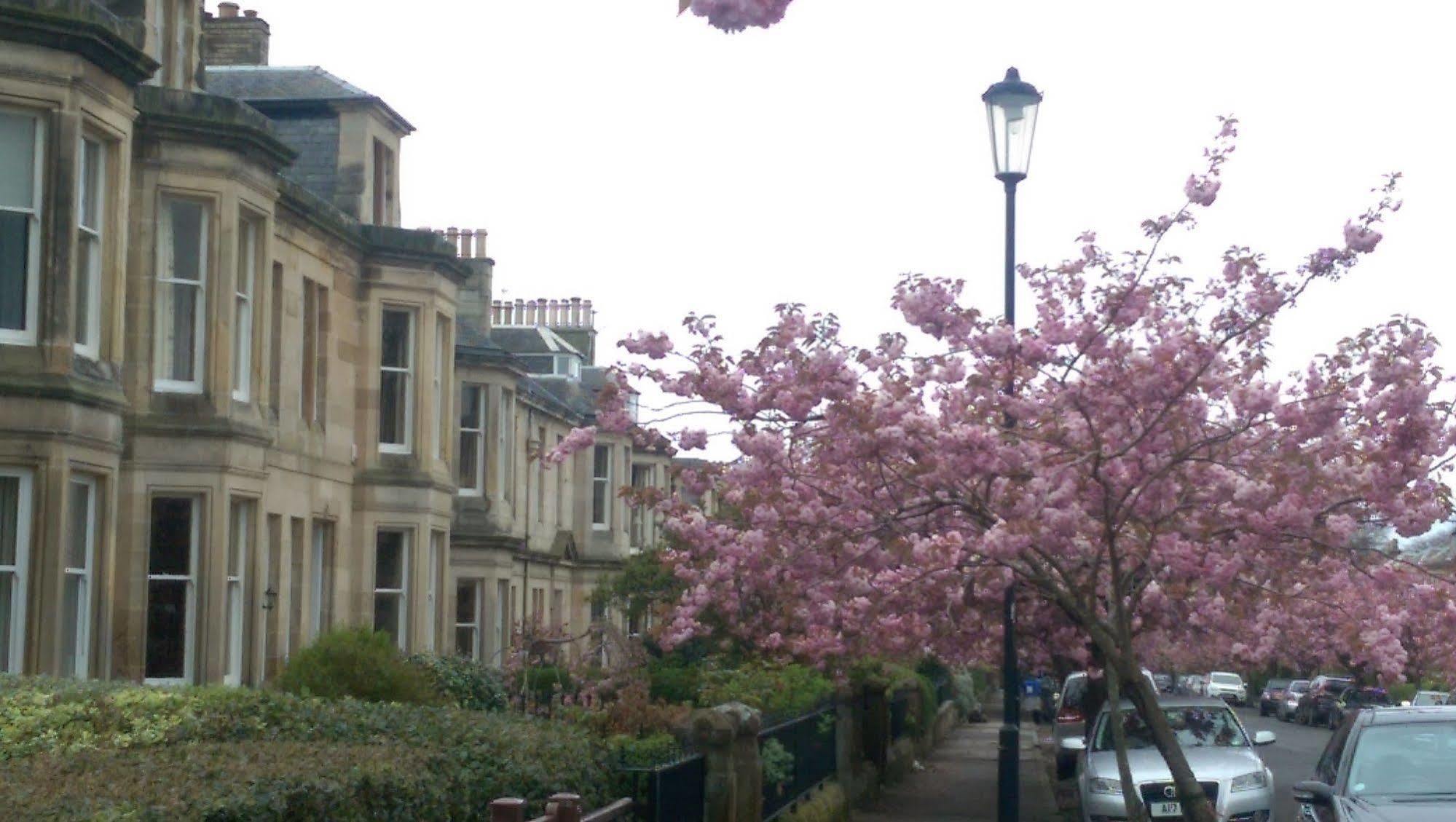 Lochinver Guesthouse Ayr Exterior foto